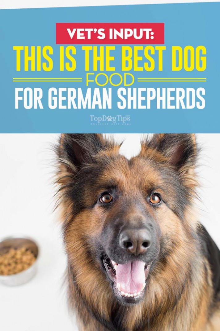 1517662271 Best Dog Food For German Shepherds 14 Vet Recommended Brands.jpg